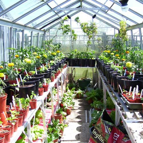 Two Tier Standard Up Staging - Image 6