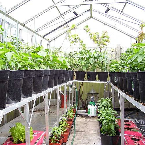 Two Tier Standard Up Staging - Image 7